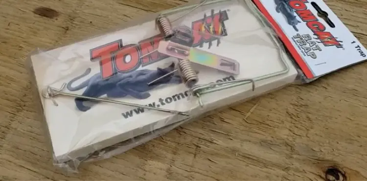 How Does A Tomcat Mouse Trap Work